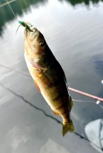 B3D03247-1F9A-45FA-8A54-887456BF2E04.jpeg