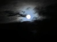 IMG_3585.jpeg