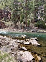 CA0A89B5-DF0A-48C9-8012-456F65615077.jpeg