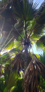 20230413_094834.jpg 20230413_094834.jpg