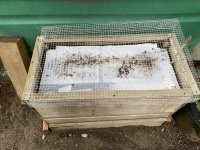 IMG_3277.jpeg IMG_3277.jpeg