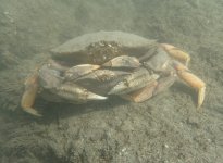 IMG_3595.jpeg