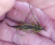 20230510_damsel.jpg