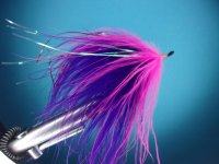 107_6410.JPG 107_6410.JPG