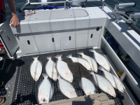 1683941735632.png