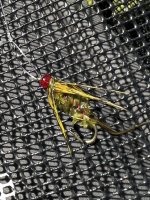 IMG_3342.jpeg