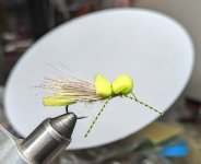 PXL_20230514_223751951.jpg