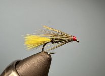 IMG_0864.jpeg