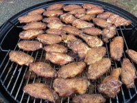 IMG_5133.jpeg