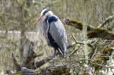 962FC71F-75F8-424C-B2F9-05572773668F.jpeg