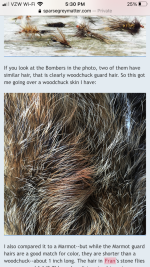 EEF24407-509B-49FC-9320-2C01AE7966E1.png