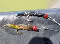 20230516_leeches.jpg 20230516_leeches.jpg