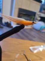 20230517_202108.jpg