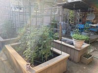 IMG_3355.jpeg