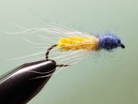 20230520_174953.jpg
