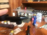IMG_4169.jpeg