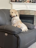 IMG_3195.jpeg