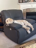 IMG_3192.jpeg