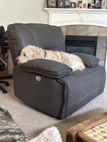 IMG_3196.jpeg