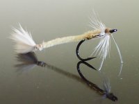 Bonefish Worm.jpg Bonefish Worm.jpg