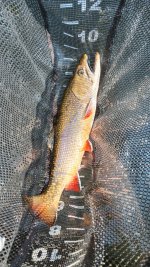 20230519_152311.jpg