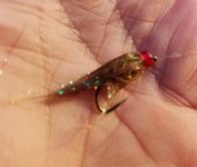 20230524_newleech.jpg