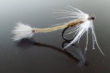 Bonefish Worm V2.jpg