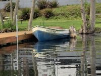IMG_5642.jpeg