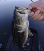 IMG_20230526_073254111.jpg