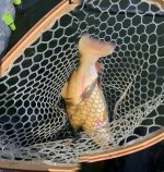 920B5B1B-C2AD-4DE8-AB7E-8ED4D970B267.jpeg