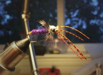 Notes_230527_083454_7b8.jpg