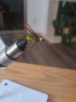 20230526_221041.jpg