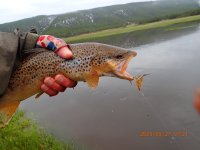 P5270047.JPG