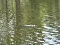 IMG_3281.jpeg