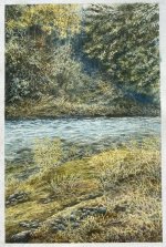 IMG_3407.jpeg