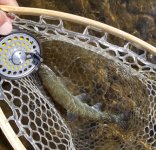 20230529_fish2.jpg 20230529_fish2.jpg