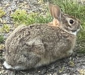 IMG_3754.jpeg