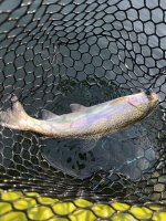 IMG_3494.jpeg