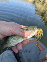 IMG_1805.jpeg