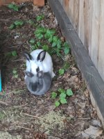 20220621_201327.jpg 20220621_201327.jpg