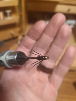 20230530_210903.jpg 20230530_210903.jpg