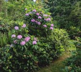 30414041055521.jpeg
