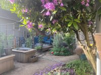 IMG_3430.jpeg