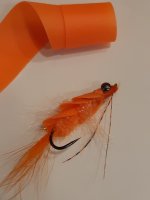 spot prawn  4.jpg