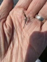 IMG_2541.jpeg