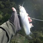 IMG_3777.jpeg IMG_3777.jpeg