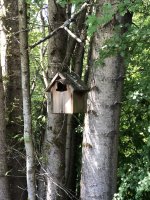 IMG_5908.jpeg