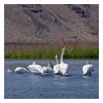 IMG_0030.JPG
