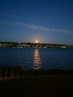 IMG_2427.jpeg IMG_2427.jpeg
