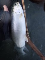 IMG_3802.jpeg IMG_3802.jpeg